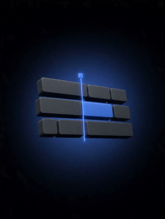 The Editor